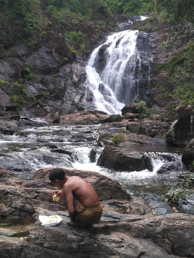 Tree Lodge Banlung Bagian luar foto